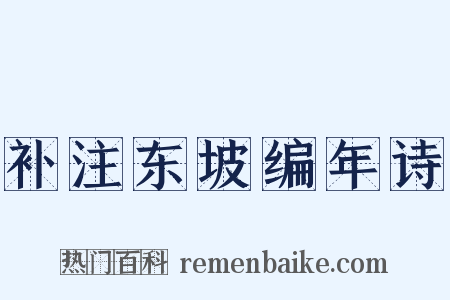 补注东坡编年诗是什么意思的图片